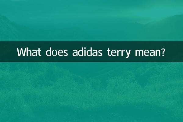 What does adidas terry mean?