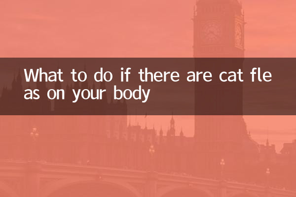 Que faire s'il y a des puces de chat sur votre corps