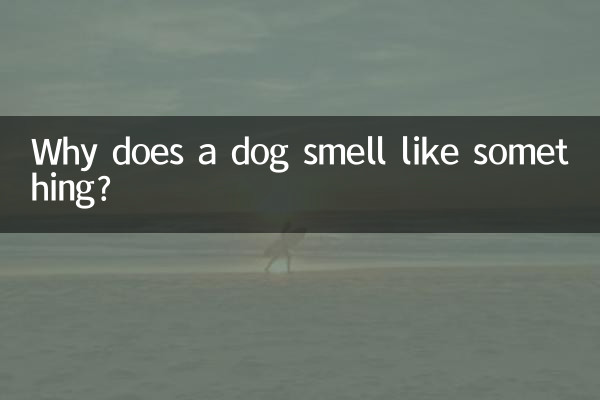 কেন একটি কুকুর কিছু মত গন্ধ?