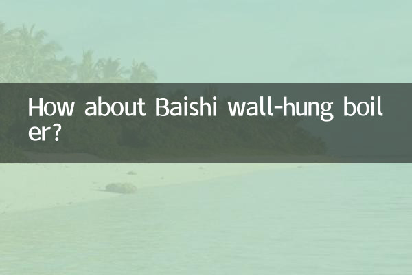 বৈশি প্রাচীর ঝুলন্ত বয়লার সম্পর্কে কেমন?