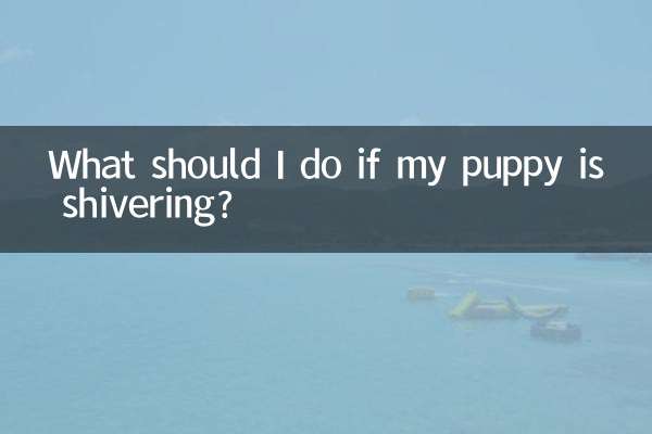 আমার কুকুরছানা কাঁপতে থাকলে আমার কী করা উচিত?