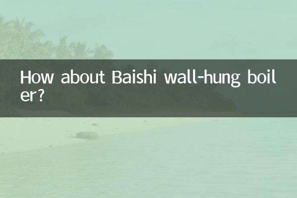 बैशी वॉल-हंग बॉयलर के बारे में क्या ख्याल है?