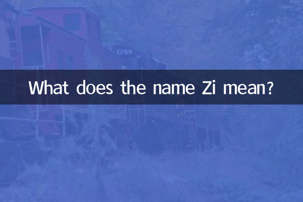 Was bedeutet der Name Zi?