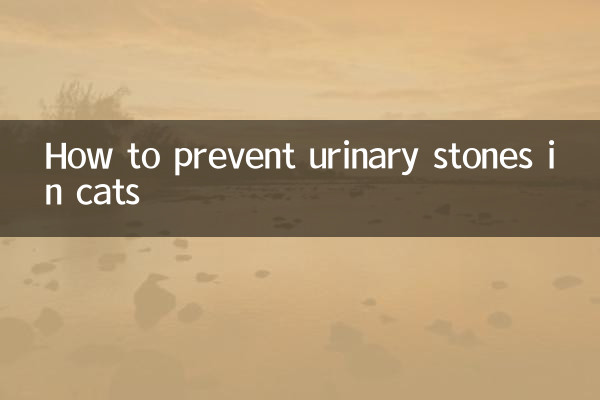 猫怎么预防尿结石