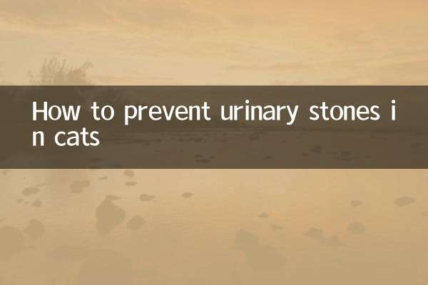 猫怎么预防尿结石