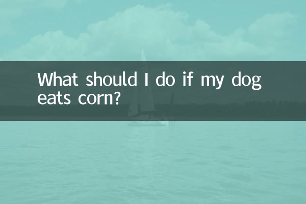 اگر میرا کتا مکئی کھاتا ہے تو مجھے کیا کرنا چاہئے؟