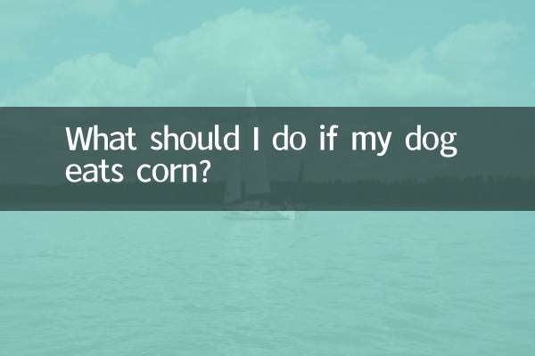 狗吃玉米了怎么办