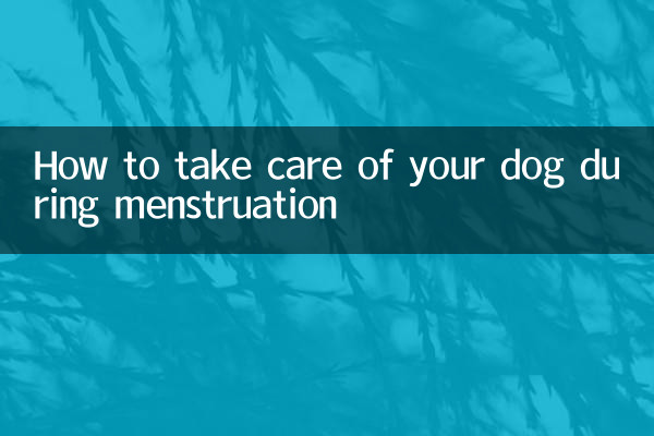 How to take care of your dog during menstruation