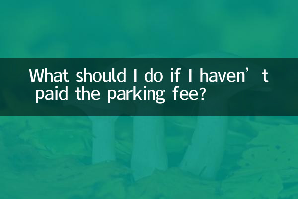 Cosa devo fare se non ho pagato il parcheggio?