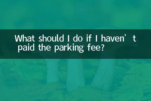 اگر میں نے پارکنگ فیس ادا نہیں کی ہے تو مجھے کیا کرنا چاہئے؟