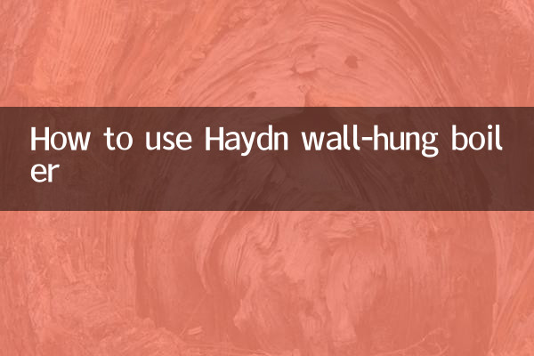 Comment utiliser la chaudière murale Haydn