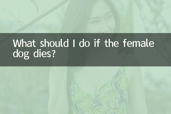 メス犬が死んでしまったらどうすればいいですか？