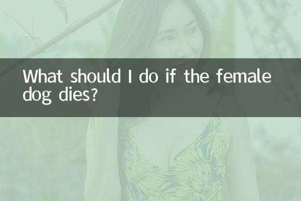 Was soll ich tun, wenn die Hündin stirbt?