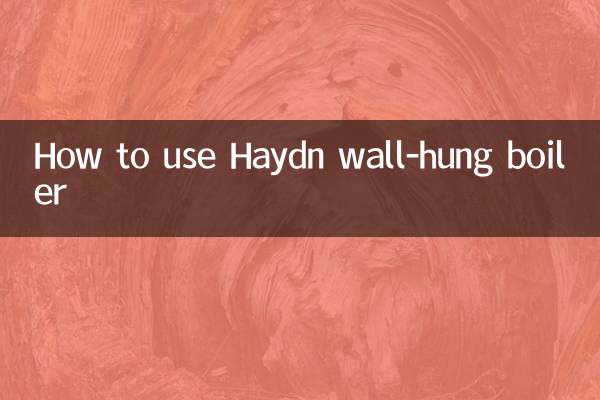 So verwenden Sie den Haydn-Wandkessel