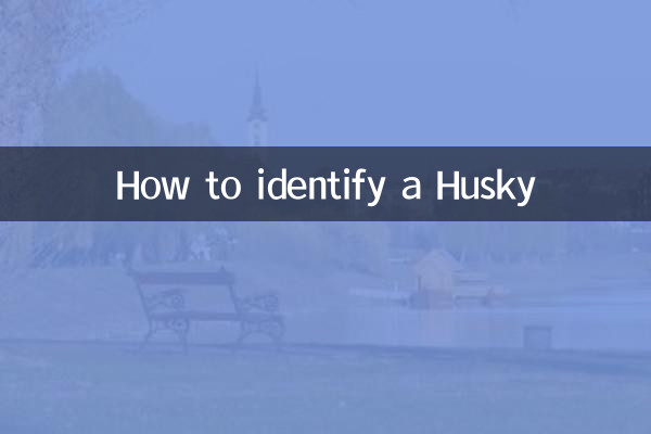 हस्की की पहचान कैसे करें