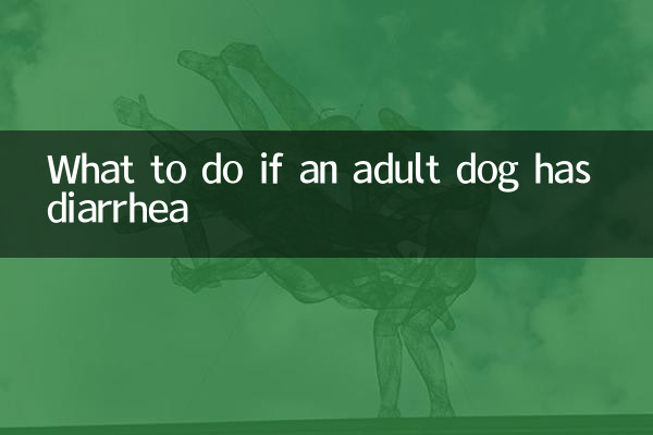 अगर किसी वयस्क कुत्ते को दस्त हो तो क्या करें?