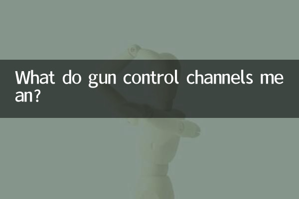 銃規制チャンネルとは何を意味しますか?