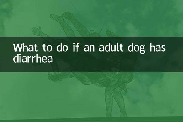 अगर किसी वयस्क कुत्ते को दस्त हो तो क्या करें?