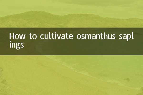ओसमन्थस पौधे की खेती कैसे करें