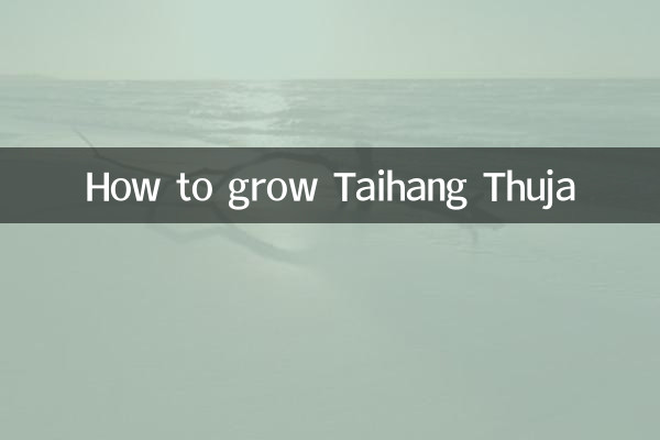 Taihang Thuja를 키우는 방법