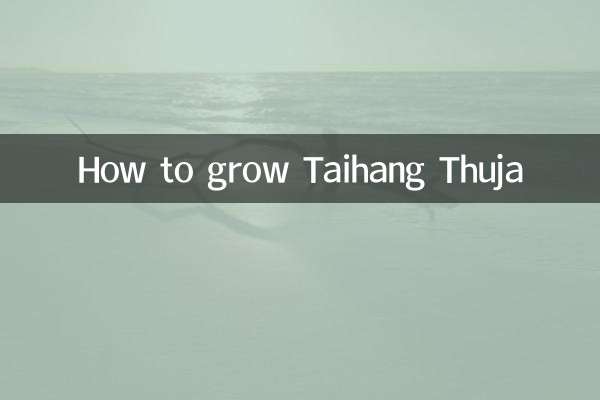Comment faire pousser du Thuya Taihang