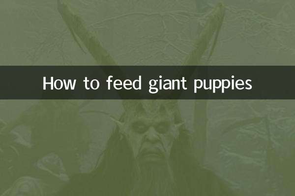Come nutrire i cuccioli giganti