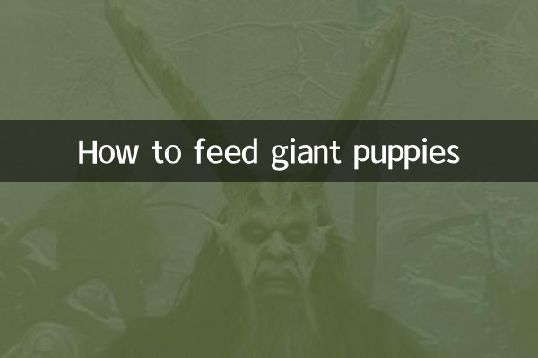 विशाल पिल्लों को कैसे खिलाएं