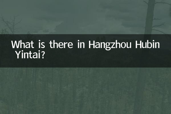 O que há em Hangzhou Hubin Yintai?