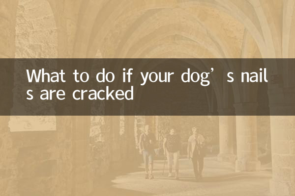What to do if your dog’s nails are cracked
