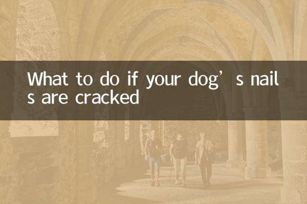 狗指甲裂开怎么办