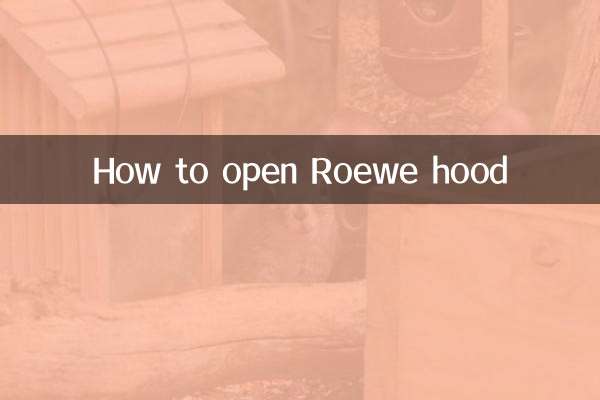 روئی ہوڈ کو کیسے کھولیں