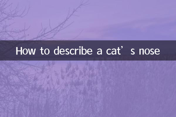 बिल्ली की नाक का वर्णन कैसे करें