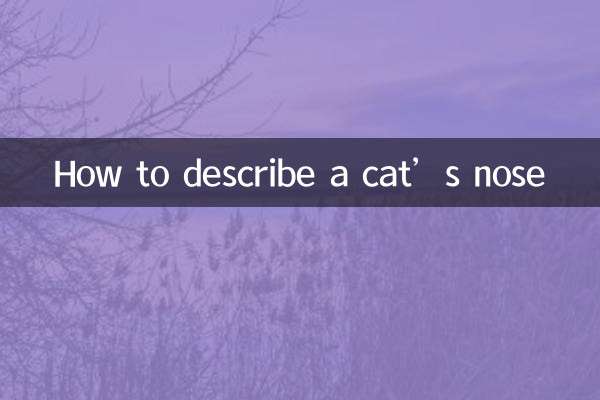 बिल्ली की नाक का वर्णन कैसे करें