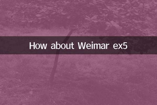 ওয়েইমার এক্স 5 সম্পর্কে কেমন