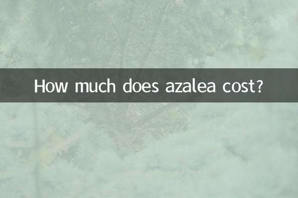 ¿Cuánto cuesta la azalea?