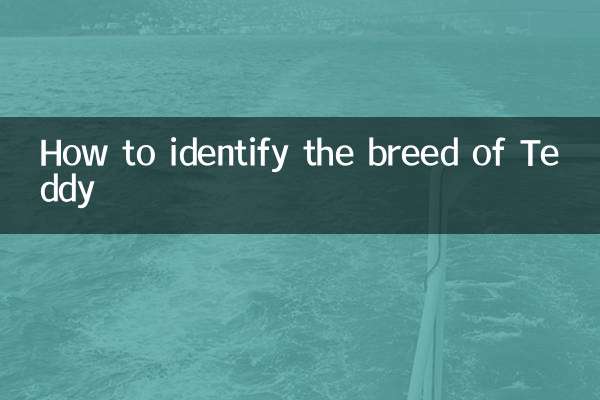 نحوه تشخیص نژاد تدی