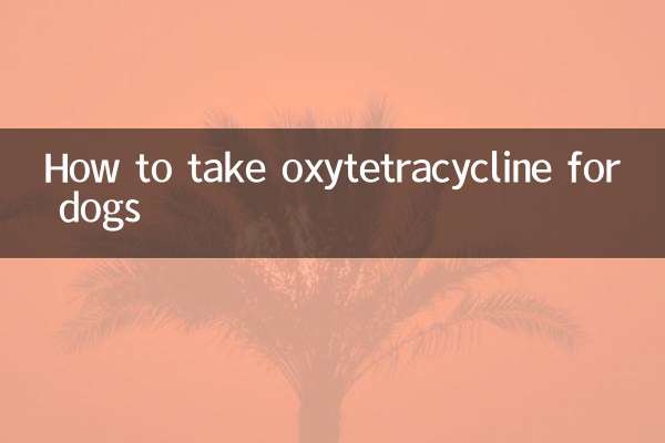 How to take oxytetracycline for dogs