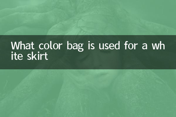Quale borsa a colori viene utilizzata per una gonna bianca