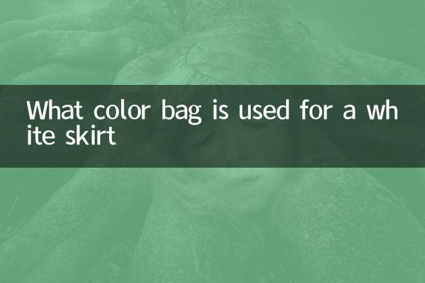 Quale borsa a colori viene utilizzata per una gonna bianca