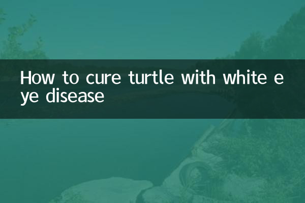 Come curare la tartaruga con la malattia di White Eye