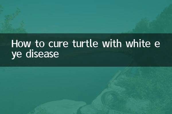 Come curare la tartaruga con la malattia di White Eye
