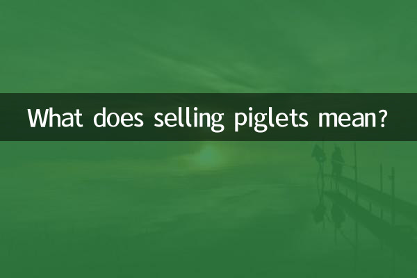 What does selling piglets mean?