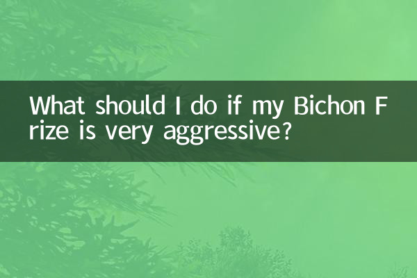 What should I do if my Bichon Frize is very aggressive?