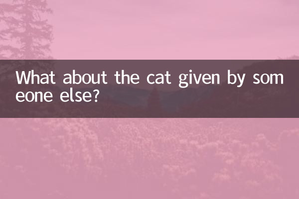 What about the cat given by someone else?