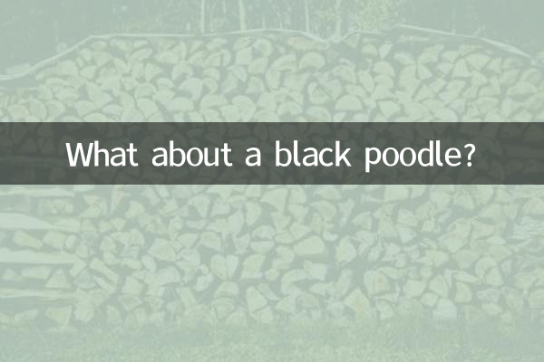 What about a black poodle?