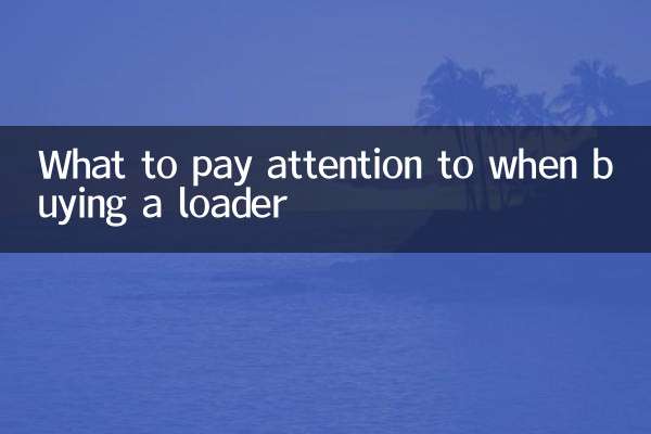 What to pay attention to when buying a loader