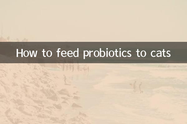 كيفية تغذية البروبيوتيك للقطط