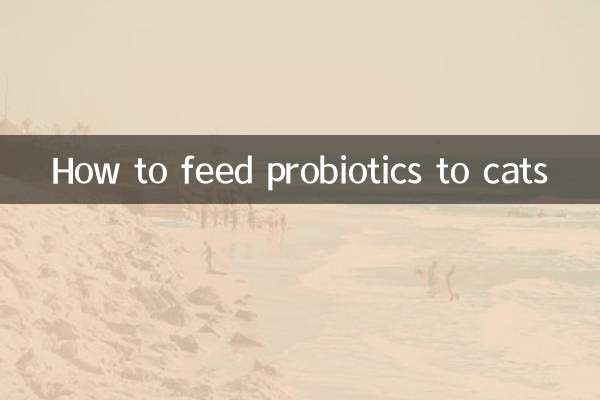 كيفية تغذية البروبيوتيك للقطط