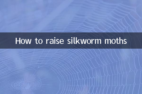 Come allevare le falene del baco da seta