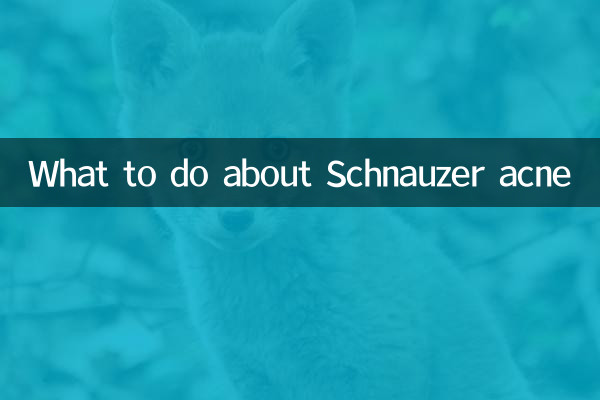 O que fazer com acne Schnauzer